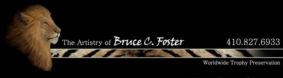 Bruce Foster Studio